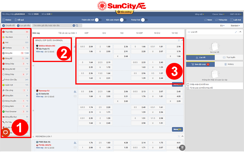 Giao diện cá cược bóng đá tại SUNCITY