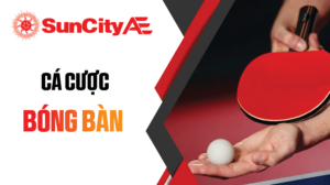 Ca cược bóng bàn SUNCITY