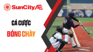 Cá cược bóng chày SUNCITY