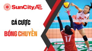 Cá cược bóng chuyền tại SUNCITY